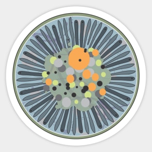 Diatom - Lindavia comensis (artwork) Sticker